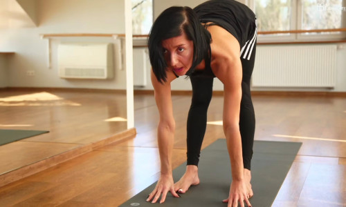 Swobodna Vinyasa Flow 1/4